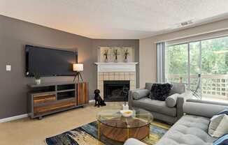 a living room with couches and a tv and a fireplace