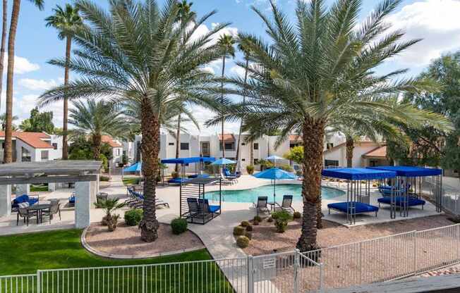 A pool surrounded by palm trees and blue umbrellas.