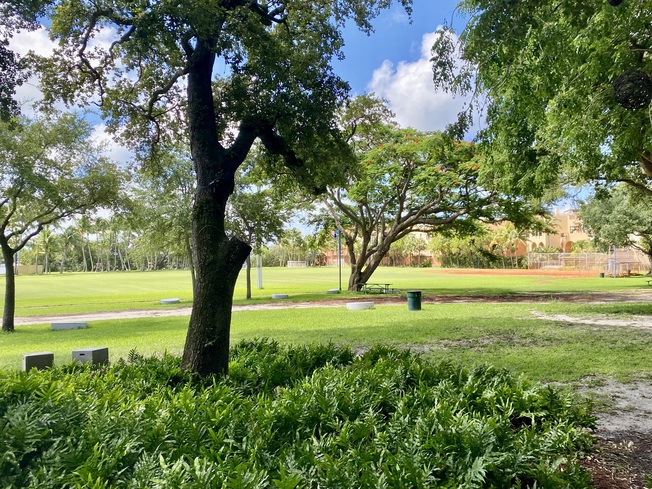 Peacock Park in Coconut Grove