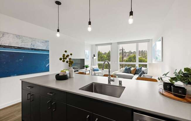 Modern Interbay Apartments in Seattle for Comfortable Living