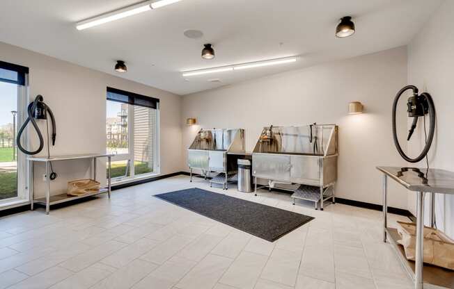 Dog Spa