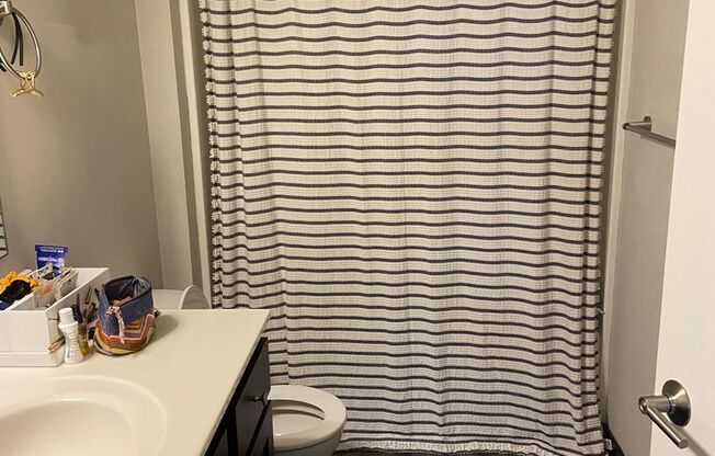 Studio, 1 bath, $1,300, Unit 104