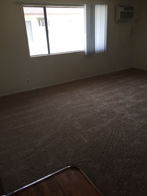 Cowan 10717-23 Western