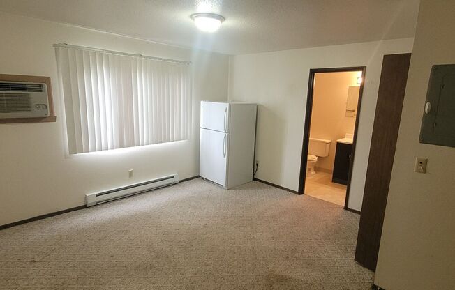 Studio, 1 bath, 300 sqft, $450, Unit 817-10-B