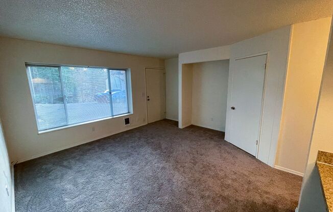 Studio, 1 bath, 300 sqft, $1,050, Unit 299-01