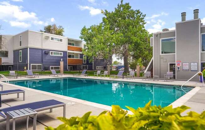 Hudson at Highline Apartments in Denver, Colorado Pool with Lounge Chairs