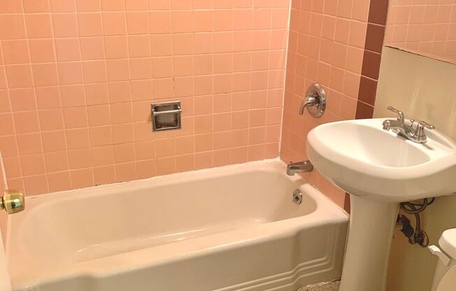 Studio, 1 bath, 302 sqft, $1,100, Unit 409