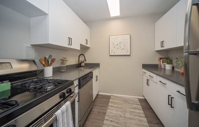 Sleek kitchen with a gas top stove