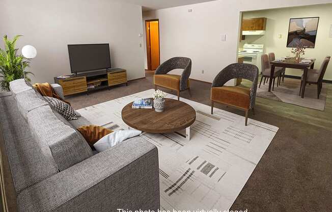 A living room with a grey couch, a coffee table, and a television.