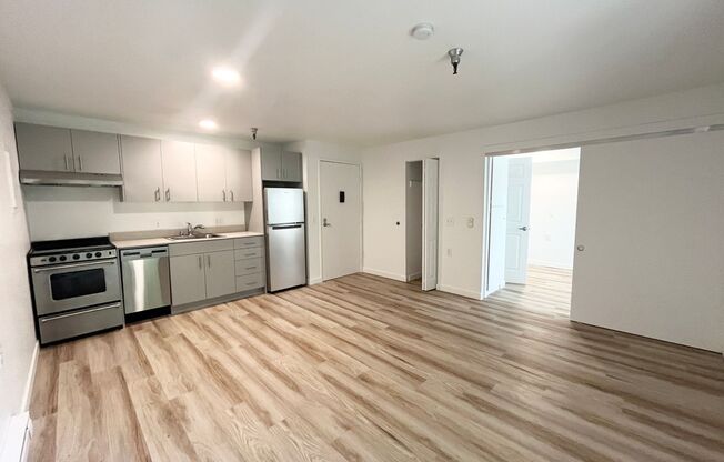 1 bed, 1 bath, 480 sqft, $1,495, Unit 303