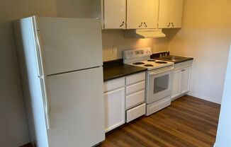Ogienko Properties, LLC