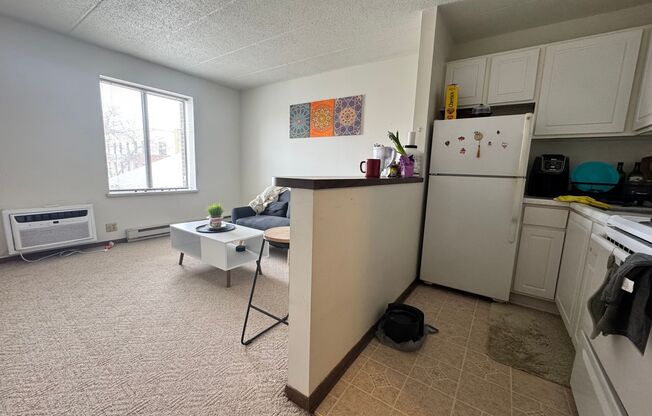 1 Bedroom on Main Street Downtown Madison