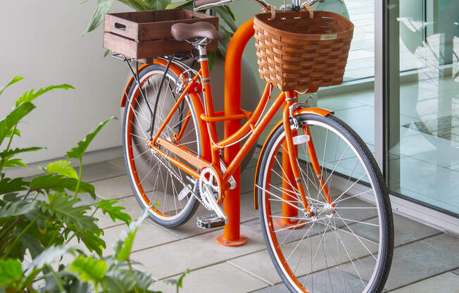 Bicycle at The Q Topanga, Woodland Hills, CA