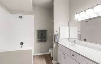 Large bathroom vanity and shower