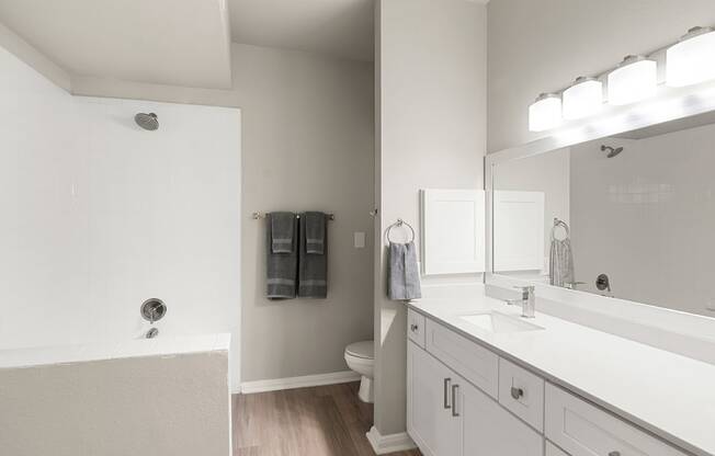 Large bathroom vanity and shower