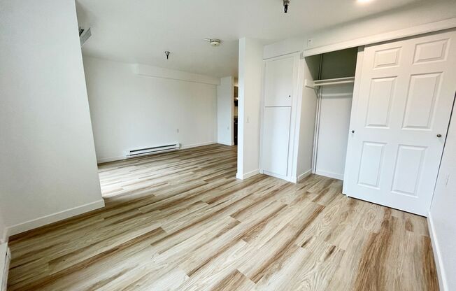 Studio, 1 bath, 480 sqft, $1,450, Unit 316