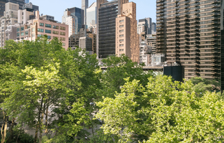 2 beds, 2 baths, 1,132 sqft, $9,000, Unit 6C