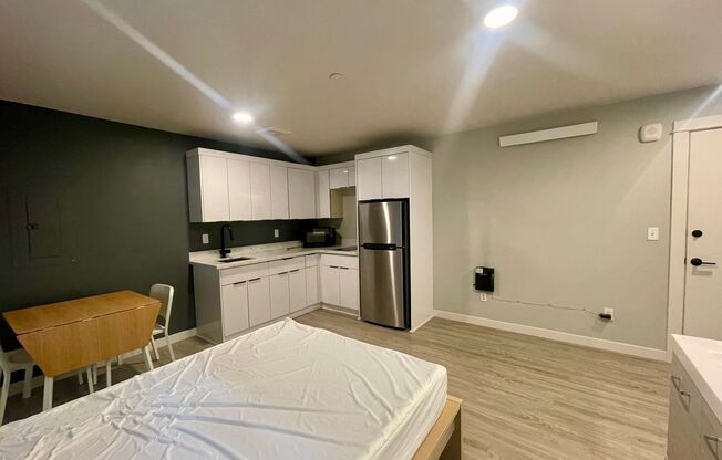 Studio, 1 bath, 250 sqft, $1,150, Unit 205