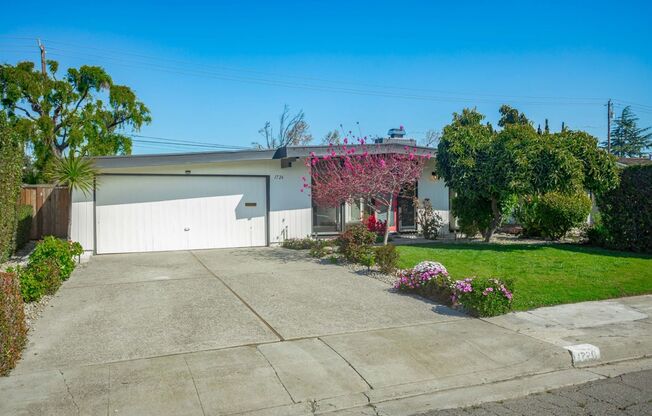 Charming Immaculately Remodeled Mountain View 3 Bedroom 2 Bath Home!