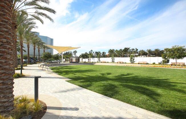 a park with a lawn and palm trees