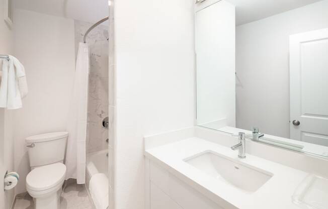 a bathroom with a toilet a sink and a mirror