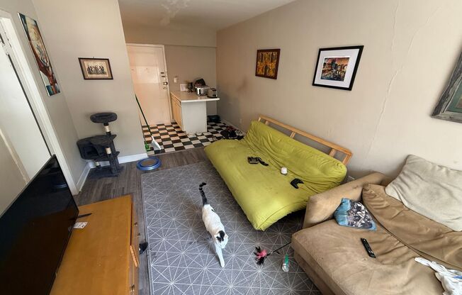 1 bed, 1 bath, 525 sqft, $895, Unit #206