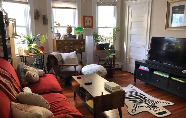 95-97 Marion Street