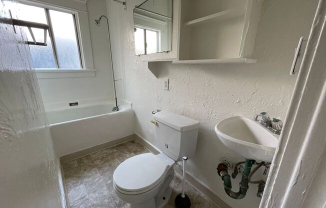 Studio, 1 bath, 300 sqft, $1,595, Unit 12