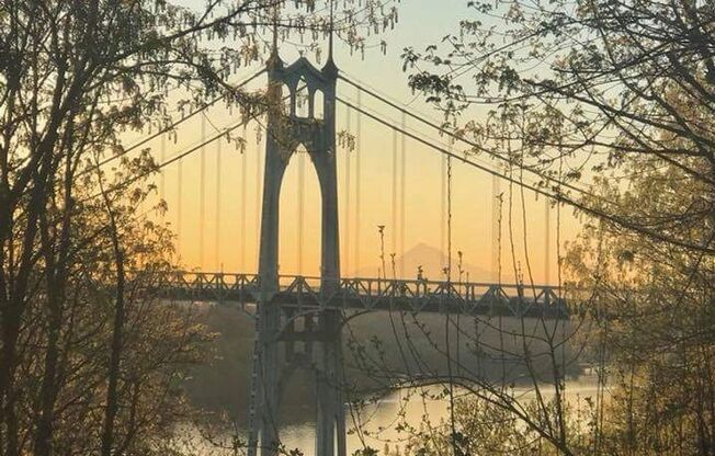 1 bed, 1 bath, 551 sqft, $1,410, Unit 2-113