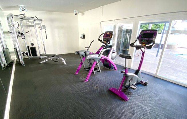 Studio, 1 bath, 385 sqft, $1,425