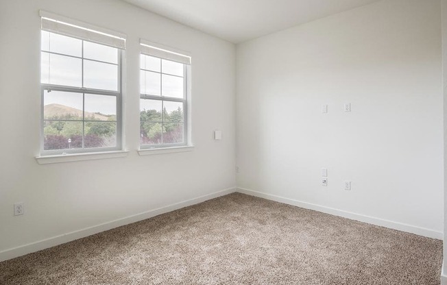 a bedroom with two windows and a carpeted floor