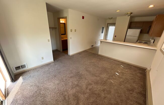 Studio, 1 bath, 334 sqft, $985, Unit #2