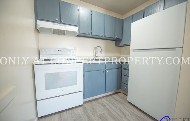 Studio, 1 bath, 360 sqft, $699, Unit 238