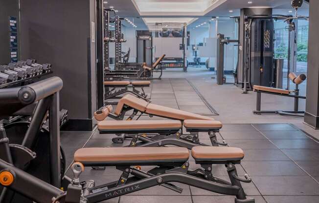 A gym with a row of benches and weights.