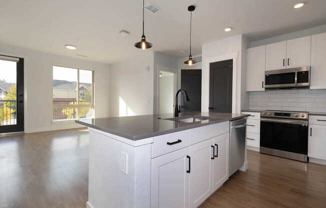 Kitchen and Living Area with Hard Surface Flooring