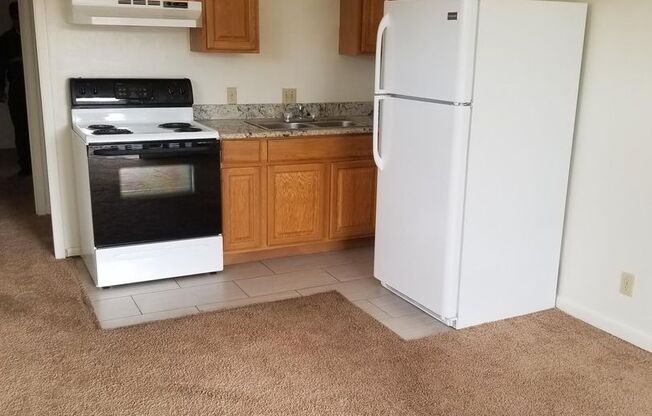 1 bed, 1 bath, 345 sqft, $900, Unit LP#10