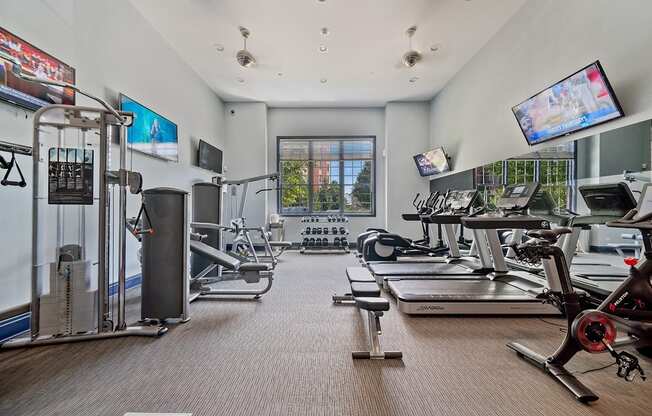 A gym with treadmills, exercise bikes, and other equipment.