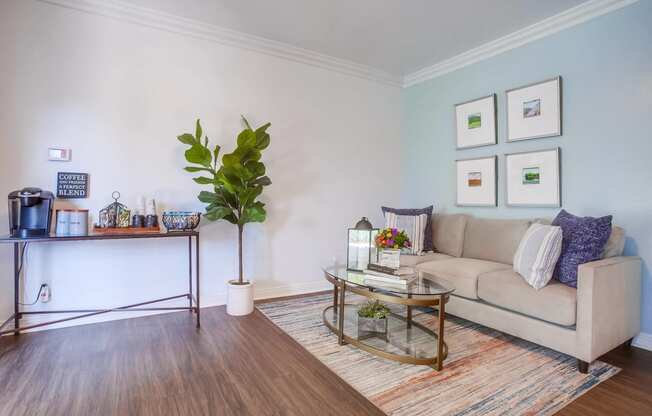 a living room with a couch and a coffee table