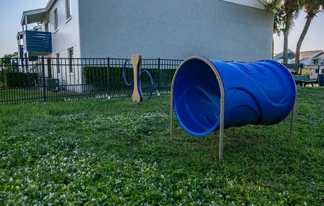 Dog Park