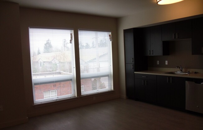 Studio, 1 bath, 430 sqft, $1,500, Unit 320