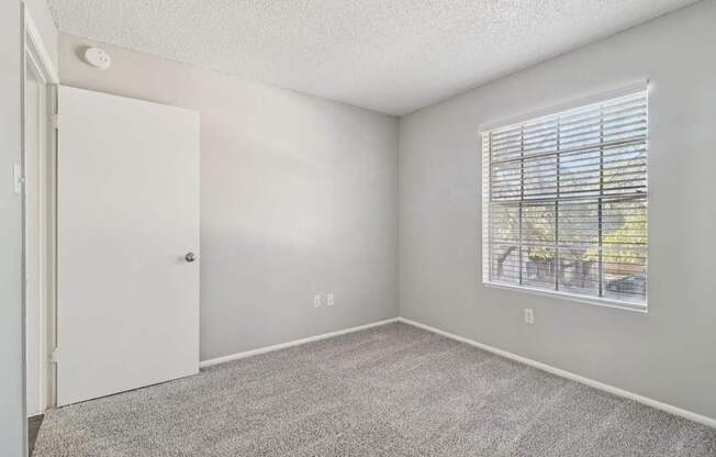 A room with a white door, carpeted floor, and a window with blinds.