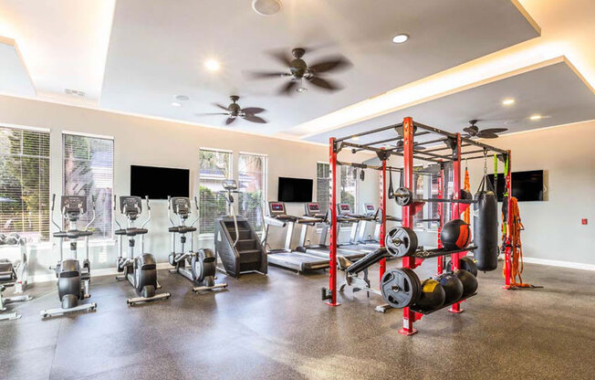 Fitness Center at The Oasis at Brandon, Riverview, Florida