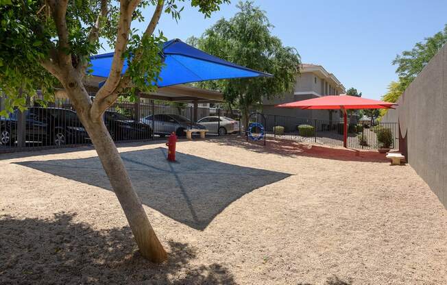 a tree casts a shadow on the ground in a courtyard