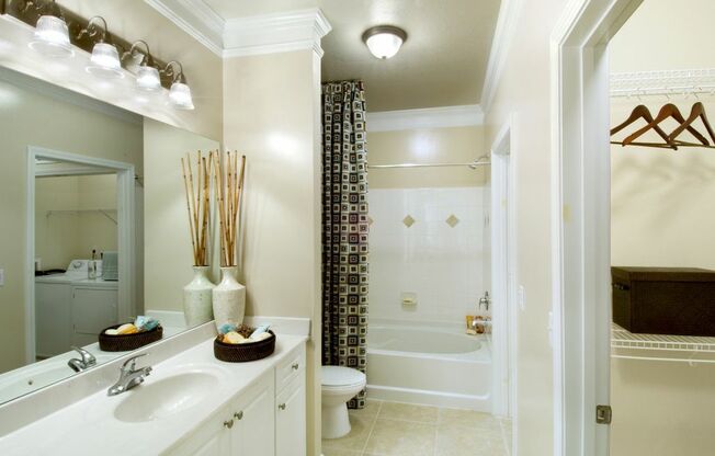 Bathroom at Emerson at Cherry Lane Apartments in Laurel, MD