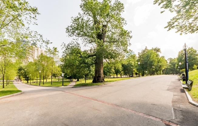 1 bed, 1 bath, 700 sqft, $3,400, Unit 9B