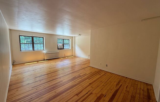 Studio, 1 bath, 487 sqft, $1,250, Unit Fifth 206