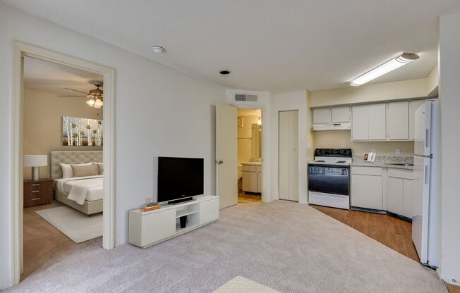 1 bed, 1 bath, 500 sqft, $860, Unit 1118