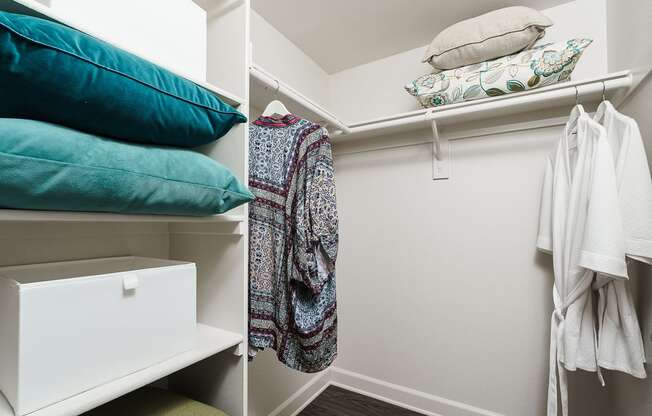 The Cascades Apartments walk-in closet