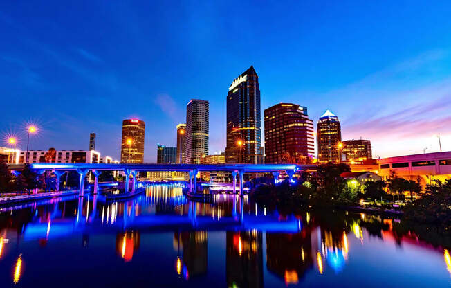 Tampa Skyline in the Evening