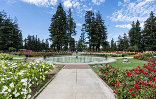 San Jose Municipal Rose Garden near Pavona Apartments, California, 95112